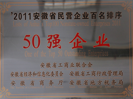 安徽省民營(yíng)企業(yè)50強(qiáng)企業(yè)